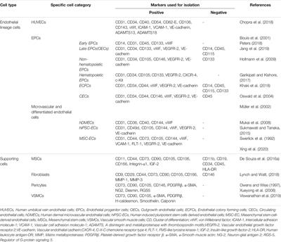 Recent Advances on Cell-Based Co-Culture Strategies for Prevascularization in Tissue Engineering